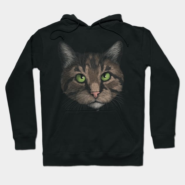 Brown Tabby Cat Hoodie by Walking in Nature